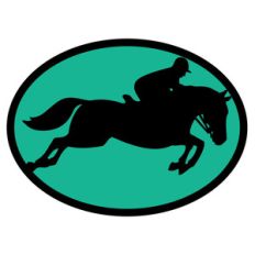 summer sports horse riding