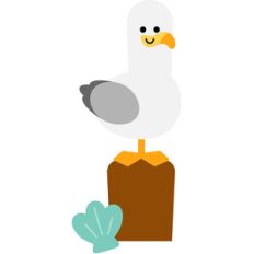 seagull - under the sea