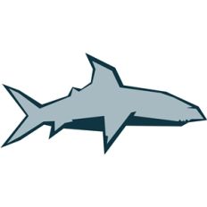 shark - geometric