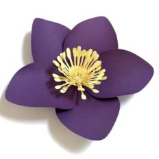hellebore
