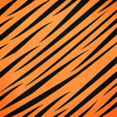 zoo tiger stripes paper