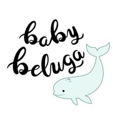 baby beluga