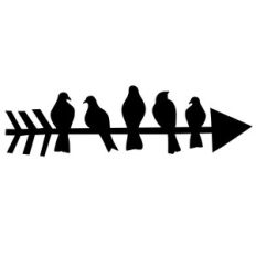 bird arrow