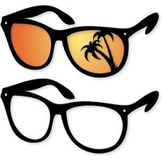 palm tree sunglasses