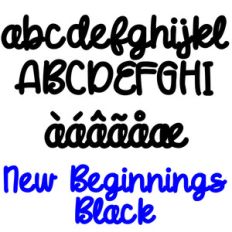 pn new beginnings black