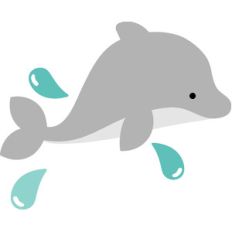 dolphin - anchors aweigh