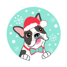 christmas boston terrier dog