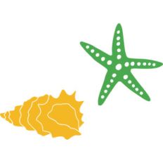 starfish and seashell