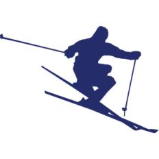 skier