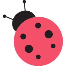 lady bug