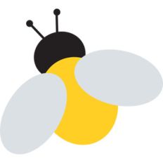 bug