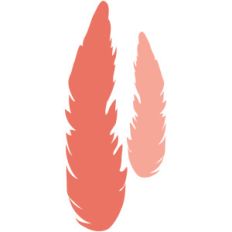 feather