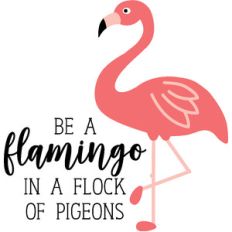 be a flamingo