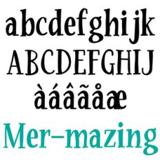 zp mer-mazing