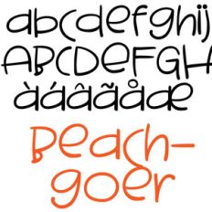 pn beachgoer