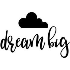 dream big
