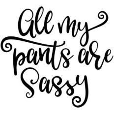 all my pants are sassy