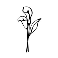 calla lilies