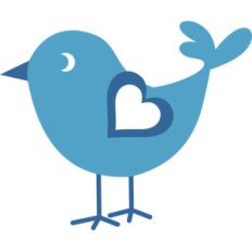 bird heart