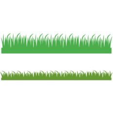 grass borders