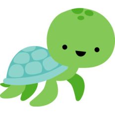 turtle - anchors aweigh