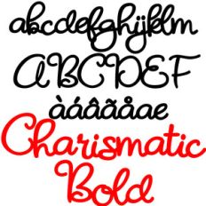 zp charismatic bold