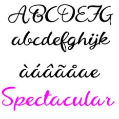 zp spectacular