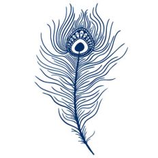 peacock feather