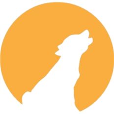 coyote silhouette