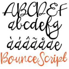 pn bounce script