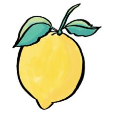 doodled lemon
