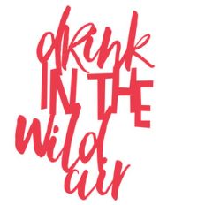 drink in the wild air