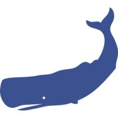whale