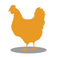 chicken hen silhouette