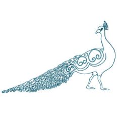 flourish doodle peacock