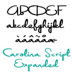 zp carolina script expanded