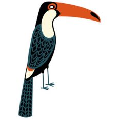 toucan