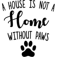 a house is not a home without paws