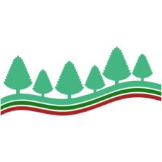 christmas tree border