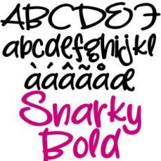 pn snarky bold