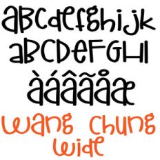 zp wang chung wide