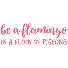 be a flamingo