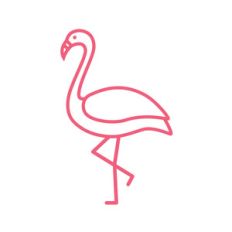 flamingo