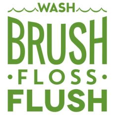 wash brush floss flush