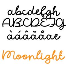 zp moonlight
