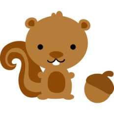 squirrel - happy camper