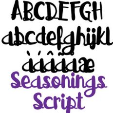 pn seasonings script