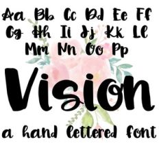 vision font