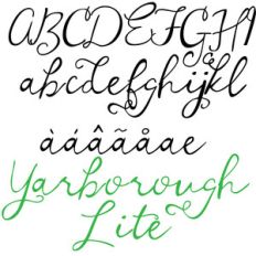 zp yarborough lite