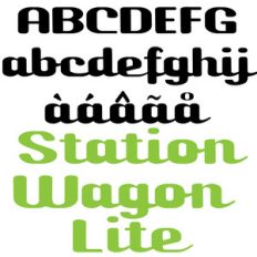 zp station wagon lite